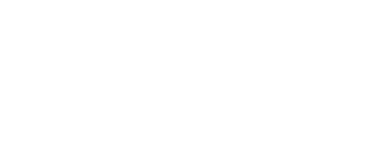 Logo Ville de Fribourg négatif